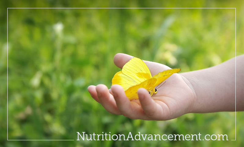 Nutrition Advancement Indianapolis Nutrition Counseling